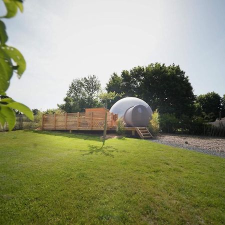 Bulles Odette & Ginette Et Tiny House Suzette "Au Guet Marais" Etape Insolite Paliseul Exteriör bild