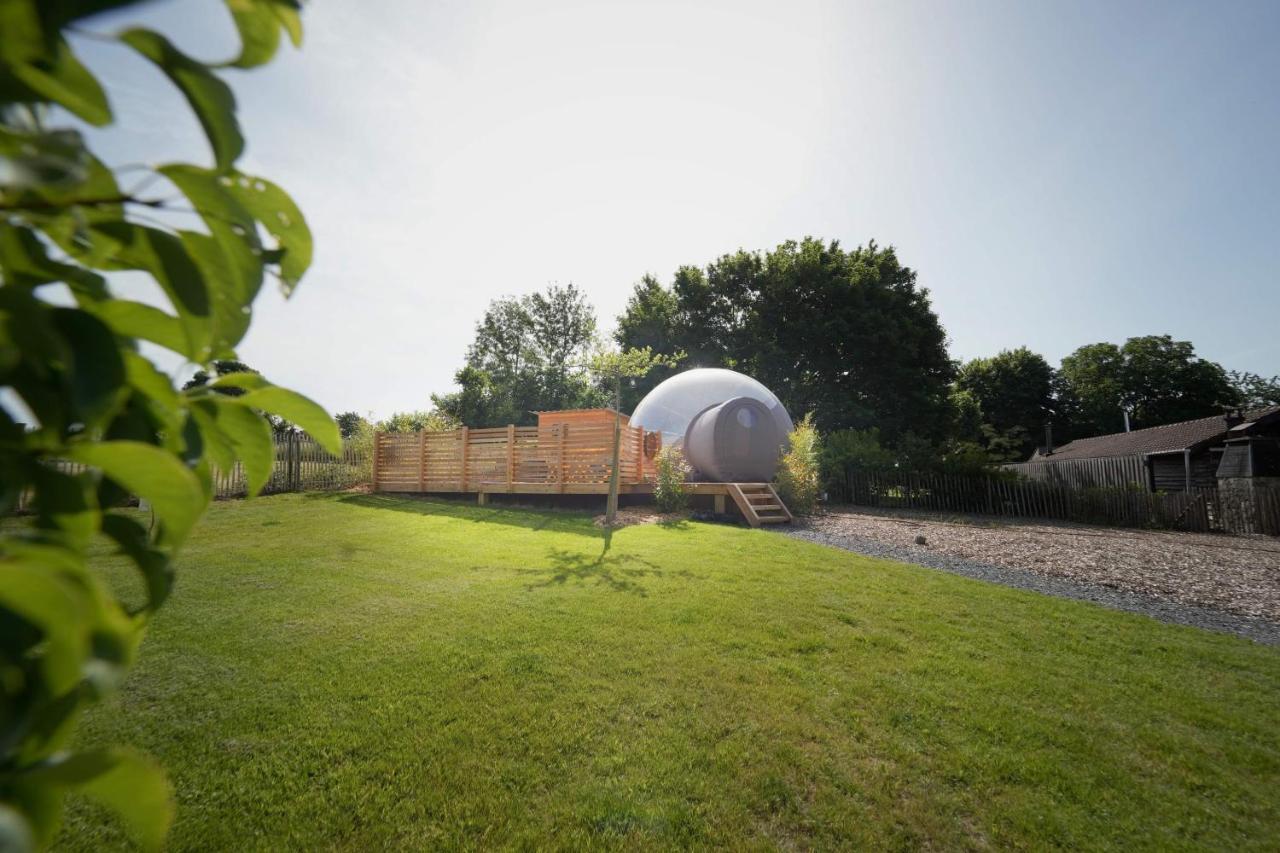 Bulles Odette & Ginette Et Tiny House Suzette "Au Guet Marais" Etape Insolite Paliseul Exteriör bild