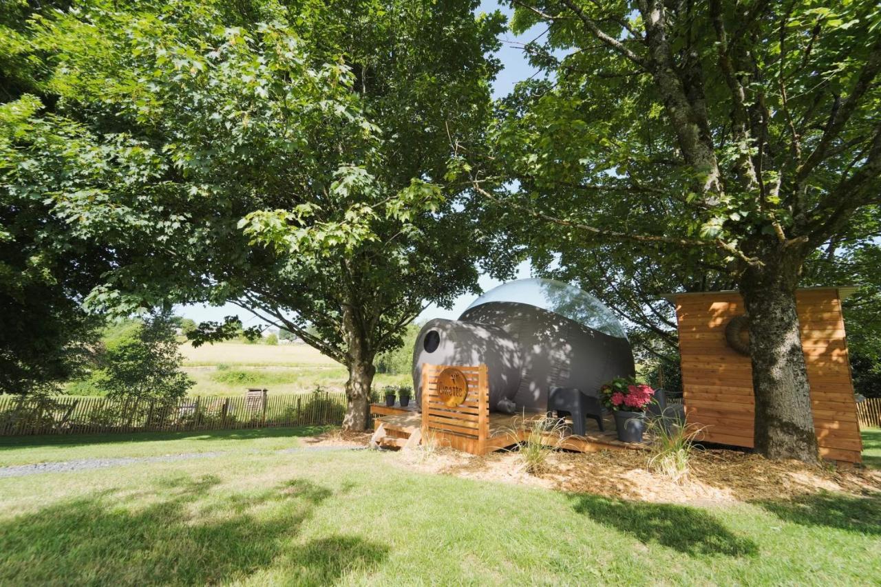 Bulles Odette & Ginette Et Tiny House Suzette "Au Guet Marais" Etape Insolite Paliseul Exteriör bild
